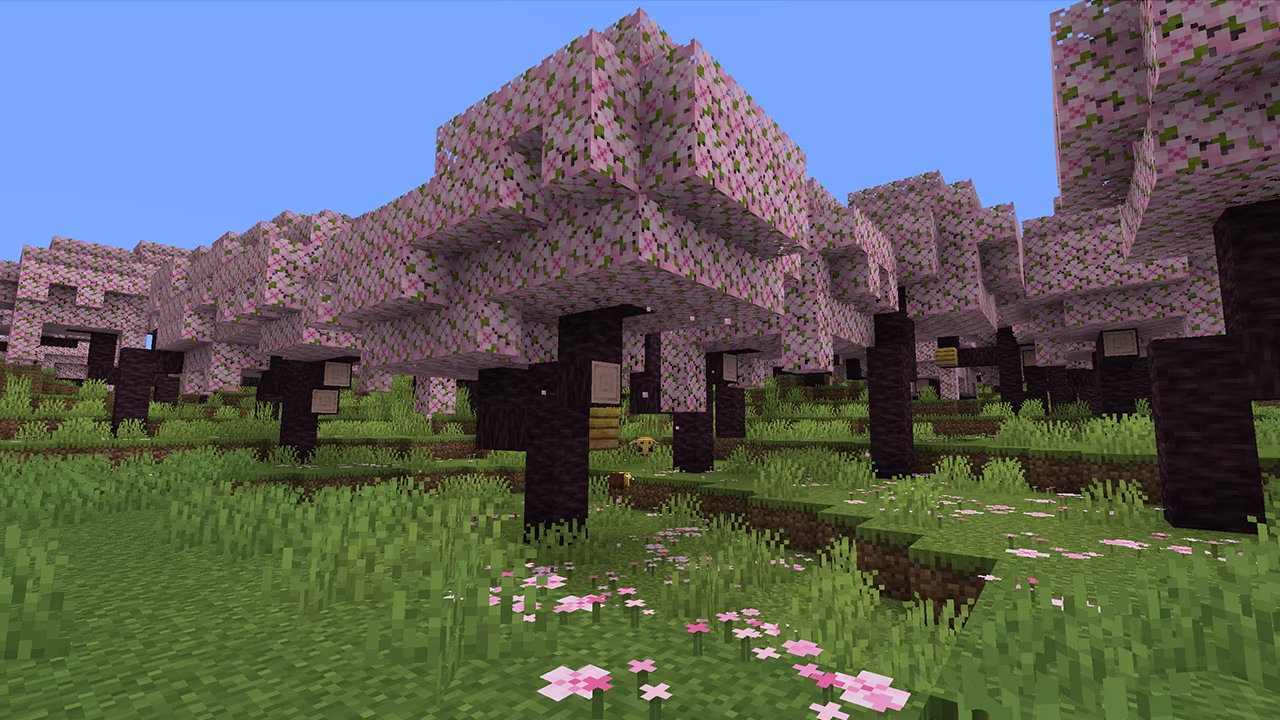 Minecraft Biomes